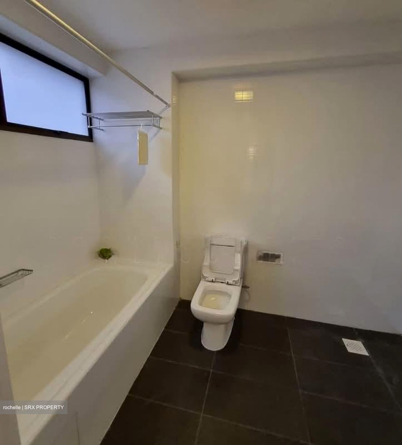 The Cairnhill (D9), Condominium #599723451